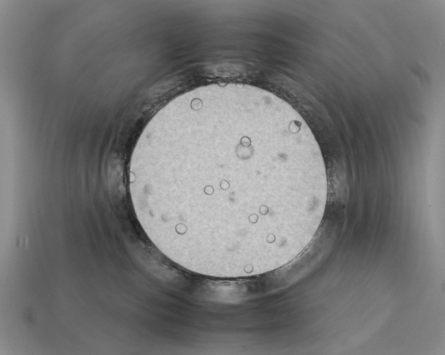 X0000112400187200909251443