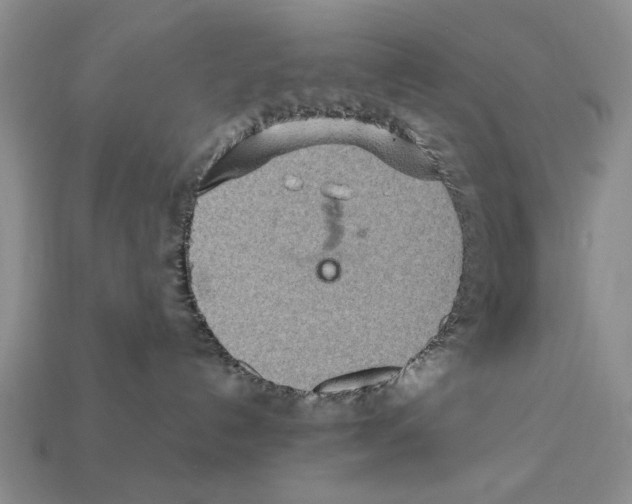X0000112400192200909251443