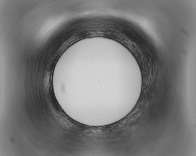 X0000112400194200909251442