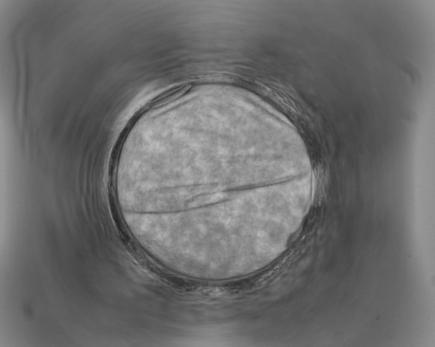 X0000112400195200909251442