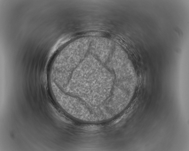 X0000112400198200909251442