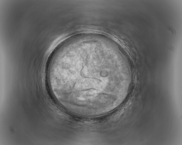 X0000112400199200909251442