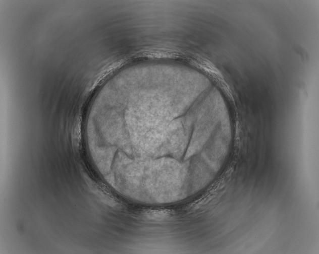 X0000112400202200909251442