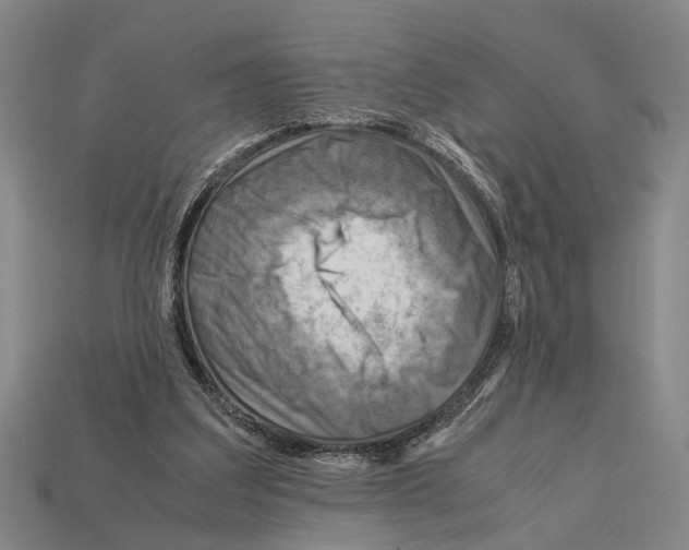 X0000112400203200909251442