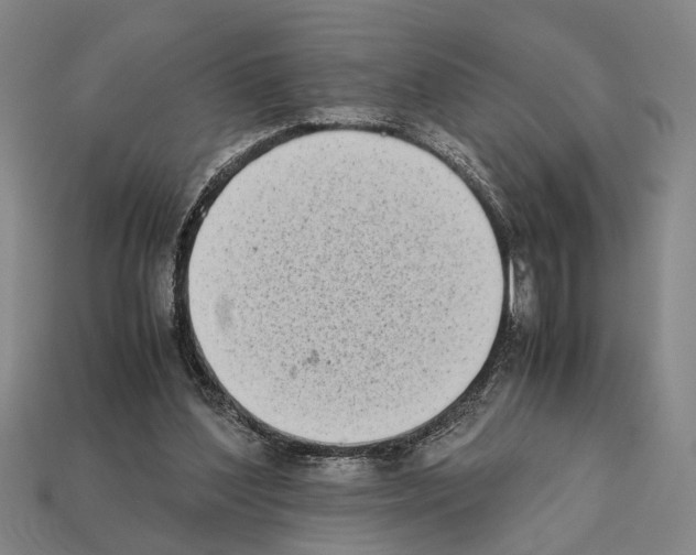 X0000112400204200909251442