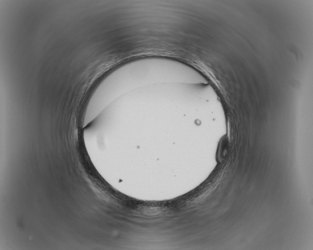 X0000112400205200909251442