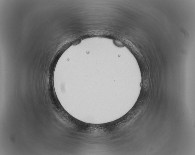 X0000112400207200909251442