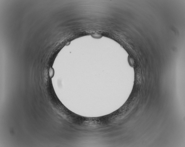 X0000112400211200909251442