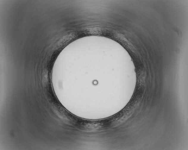 X0000112400213200909251442