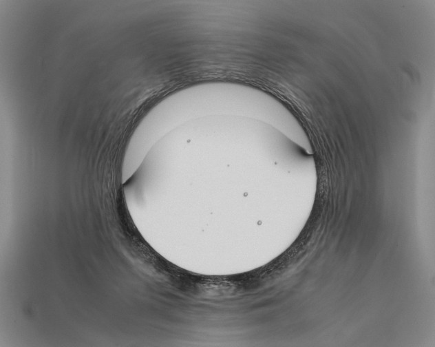 X0000112400215200909251442