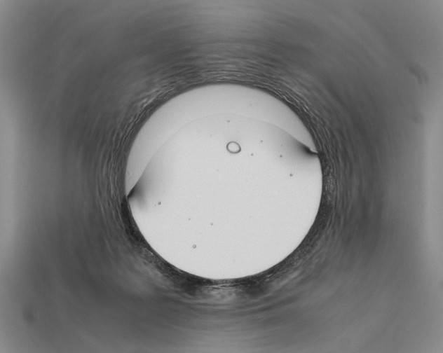 X0000112400219200909251442