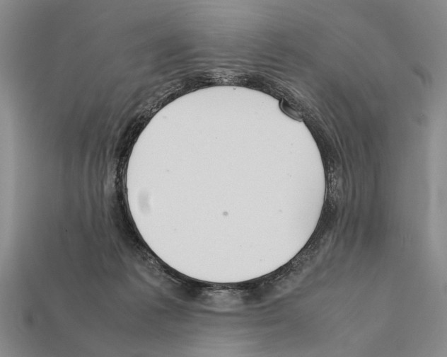 X0000112400221200909251442