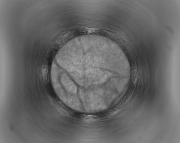 X0000112400222200909251442