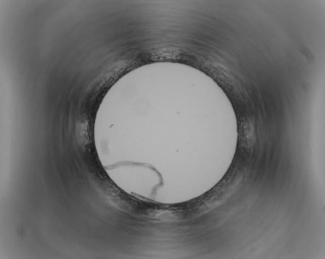 X0000112400224200909251442
