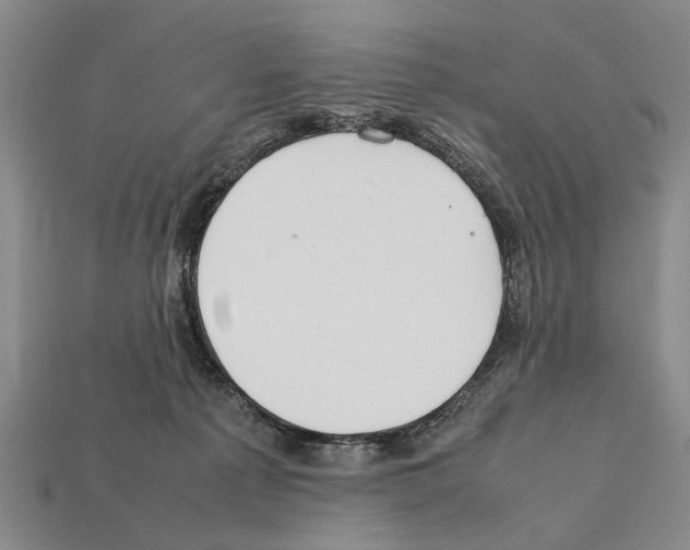 X0000112400225200909251442