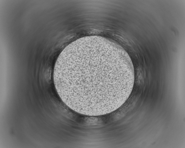 X0000112400230200909251442