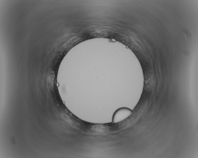 X0000112400231200909251442