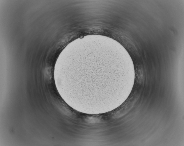 X0000112400232200909251442