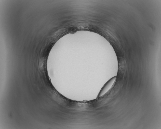 X0000112400233200909251442