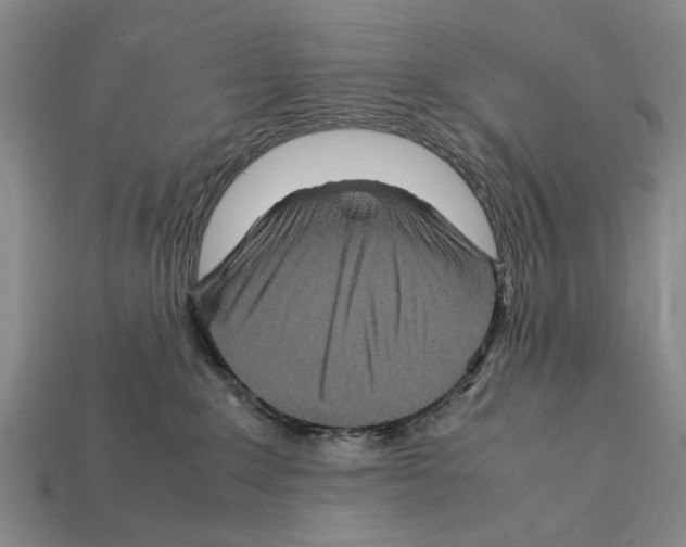 X0000112400235200909251442