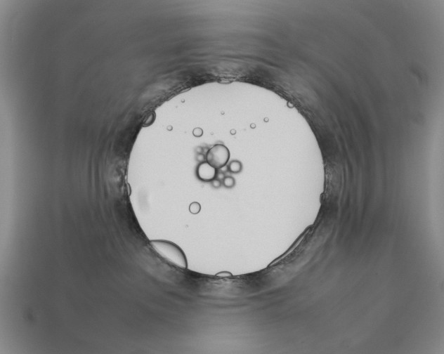X0000112400237200909251442