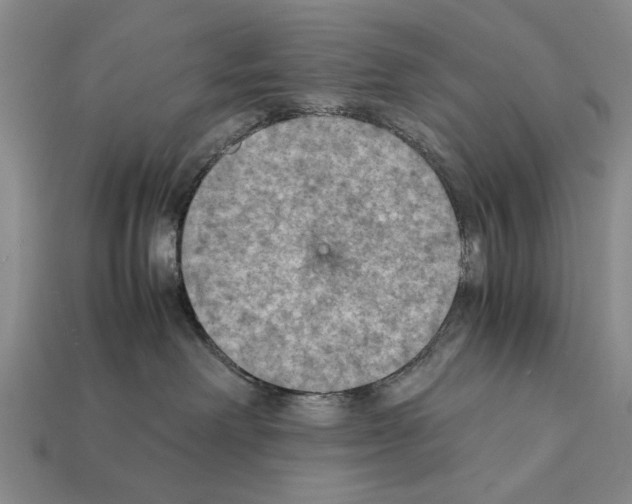 X0000112400238200909251442
