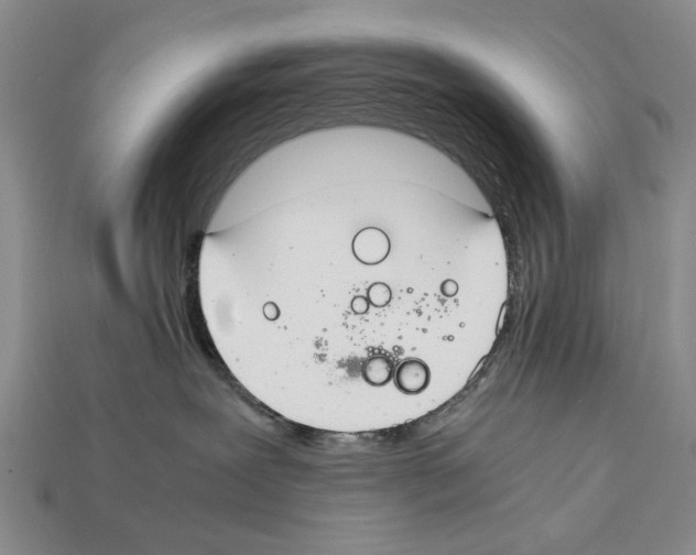 X0000112400239200909251442