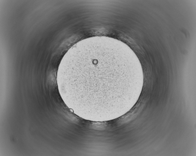X0000112400240200909251442