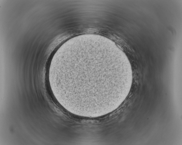 X0000112400242200909251441