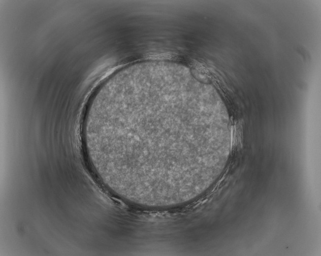 X0000112400243200909251441