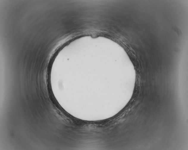 X0000112400244200909251441