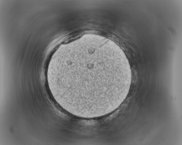 X0000112400245200909251441