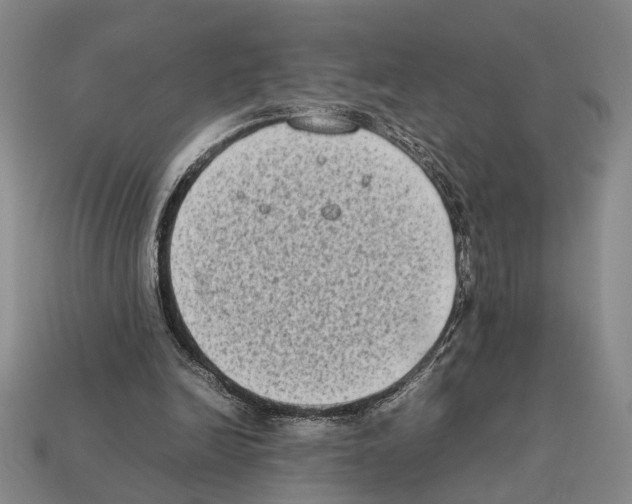X0000112400246200909251441