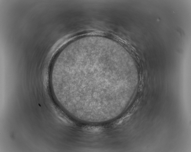 X0000112400247200909251441