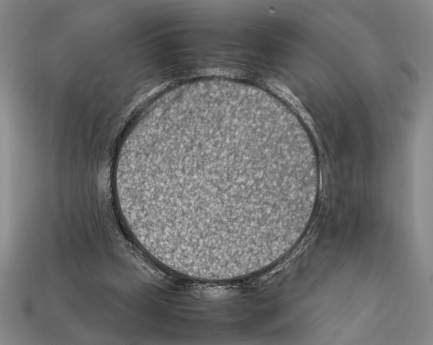 X0000112400249200909251441
