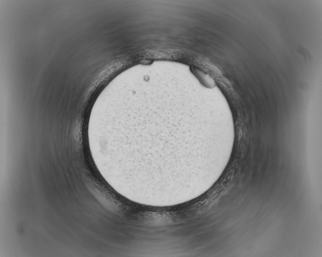 X0000112400250200909251441
