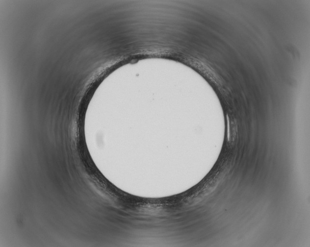X0000112400252200909251441