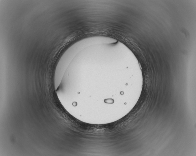 X0000112400260200909251441