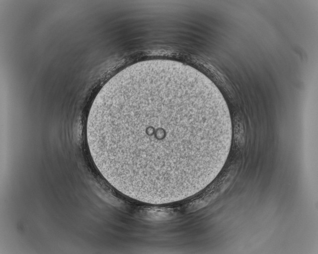 X0000112400261200909251441