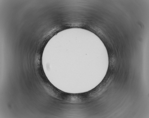 X0000112400264200909251442