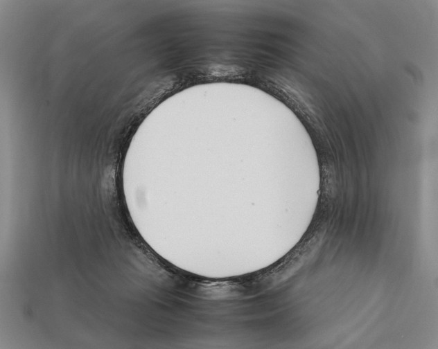 X0000112400269200909251442