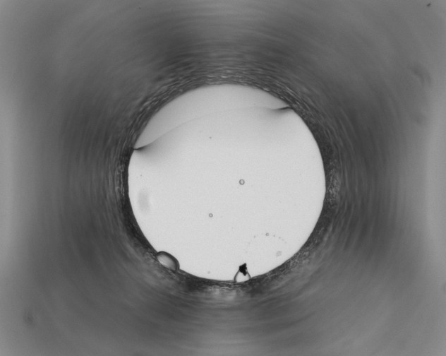 X0000112400272200909251442