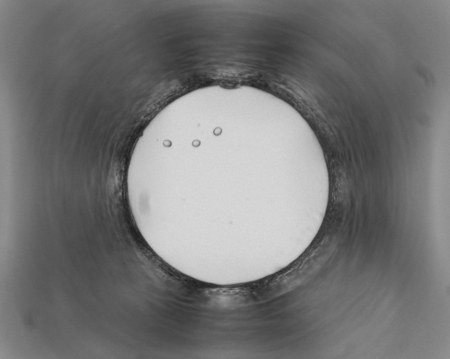 X0000112400273200909251442