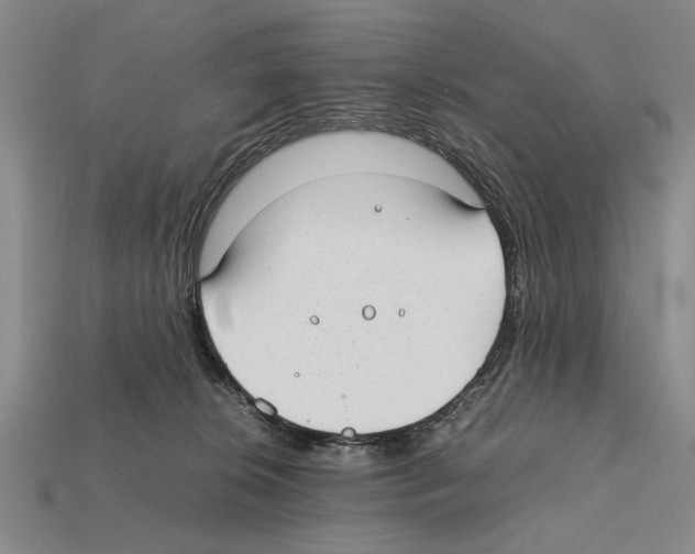 X0000112400276200909251442