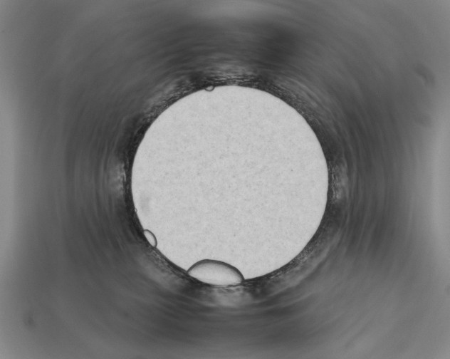 X0000112400279200909251442