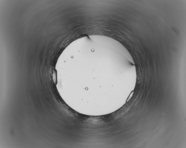 X0000112400280200909251442