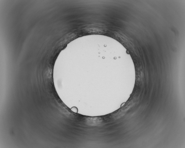 X0000112400281200909251442