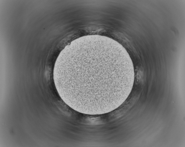 X0000112400283200909251442