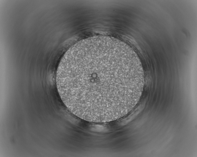 X0000112400285200909251442