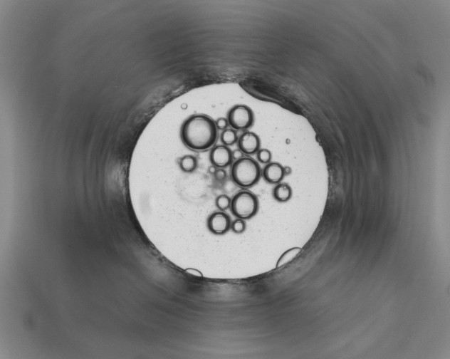 X0000112400286200909251442
